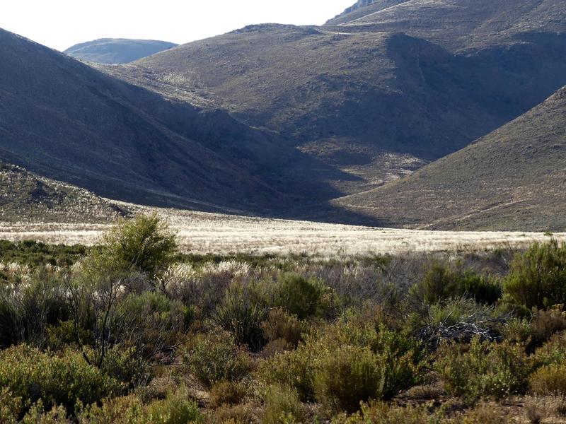 0 Bedroom Property for Sale in Laingsburg Western Cape